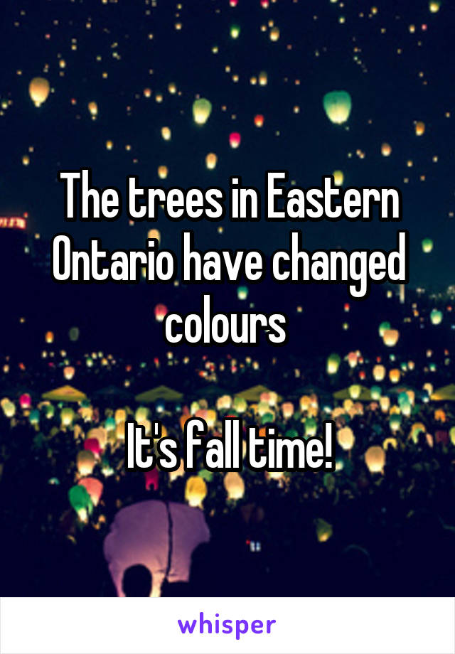 The trees in Eastern Ontario have changed colours 

It's fall time!