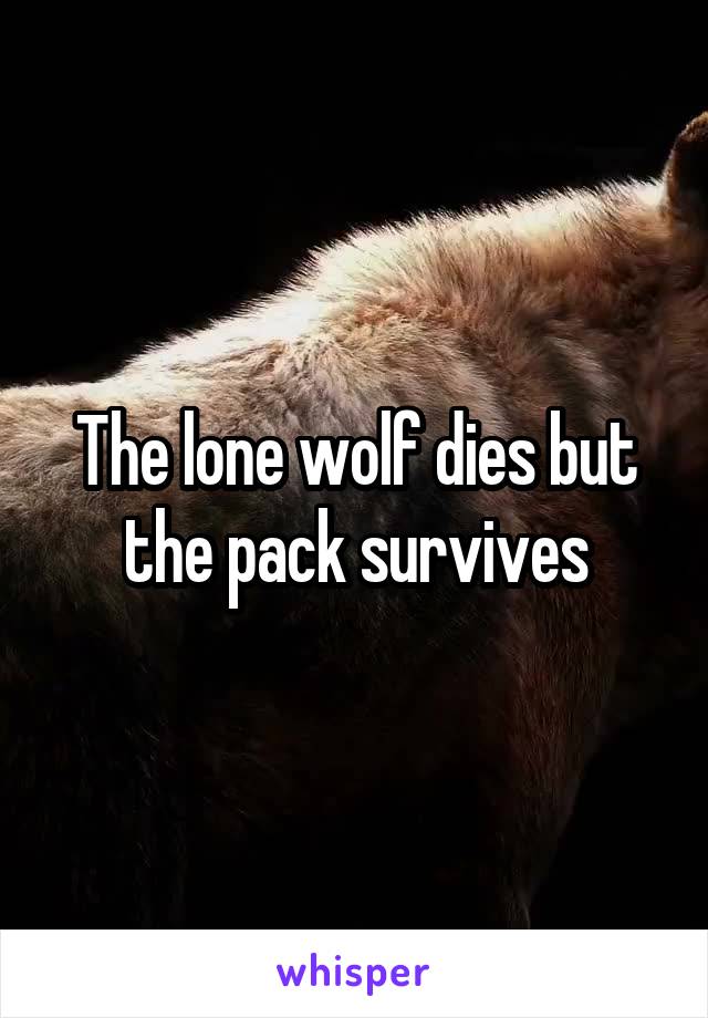 The lone wolf dies but the pack survives