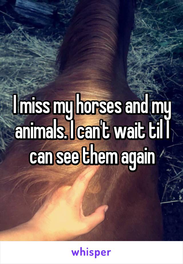 I miss my horses and my animals. I can't wait til I can see them again