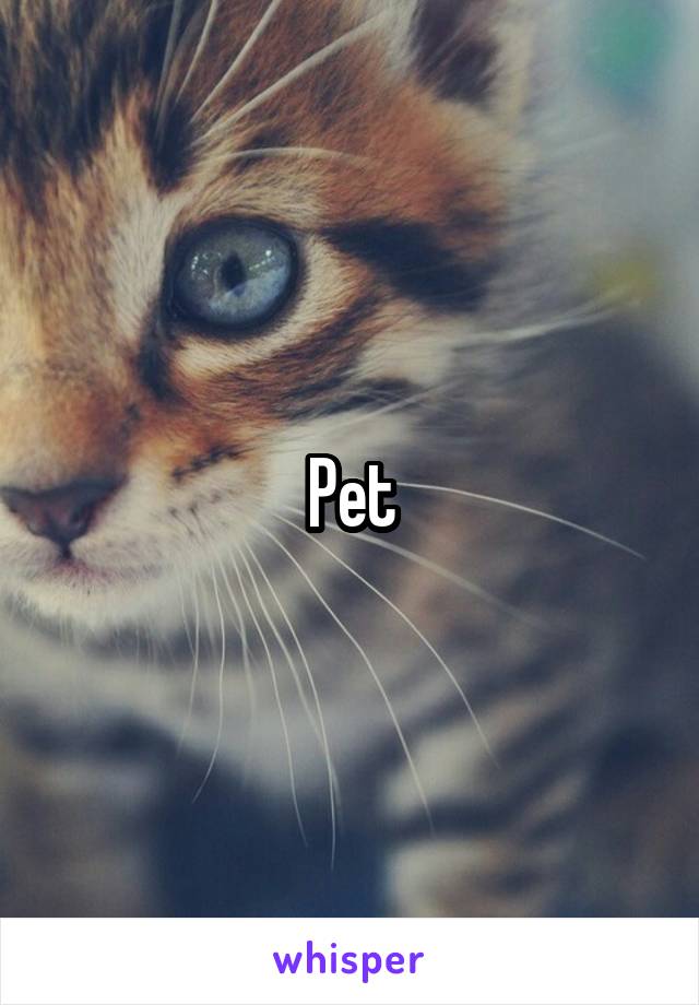 Pet