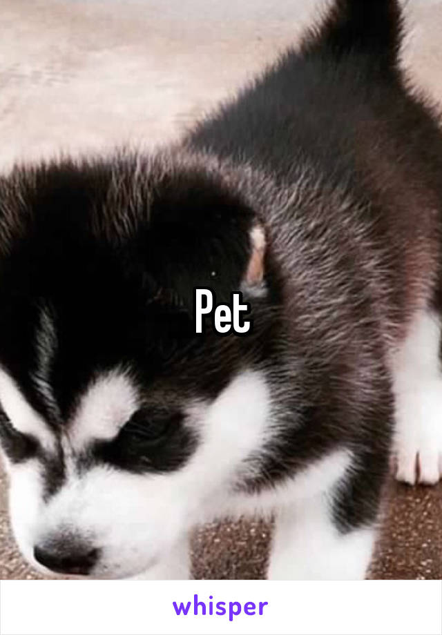 Pet