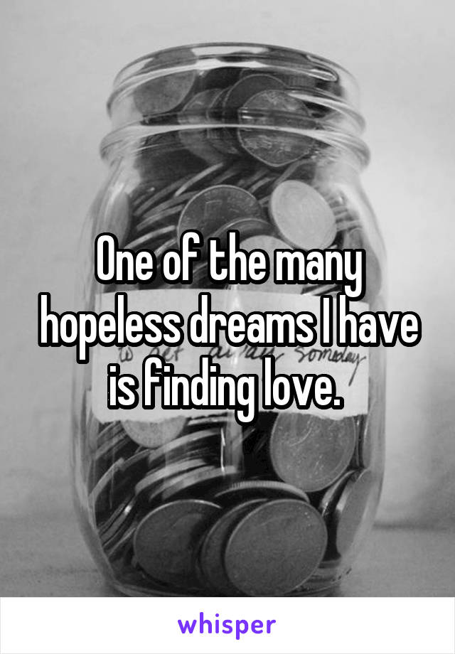 One of the many hopeless dreams I have is finding love. 