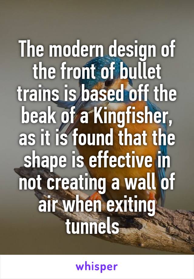 The modern design of the front of bullet trains is based off the beak of a Kingfisher, as it is found that the shape is effective in not creating a wall of air when exiting tunnels  