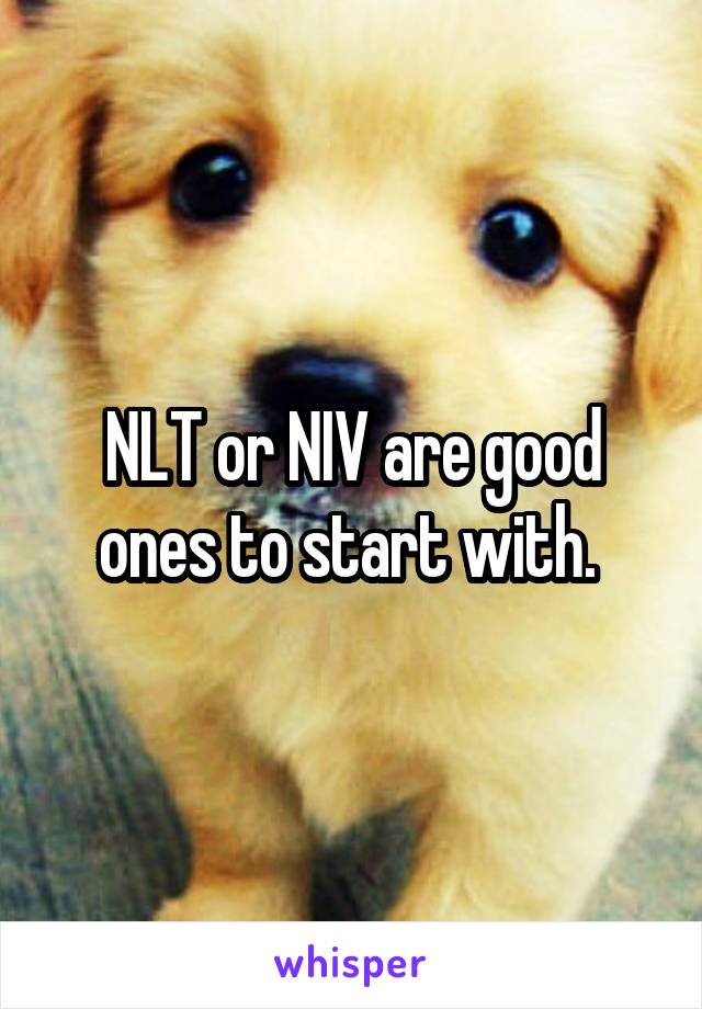 NLT or NIV are good ones to start with. 