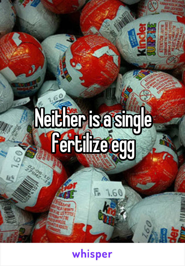 Neither is a single fertilize egg