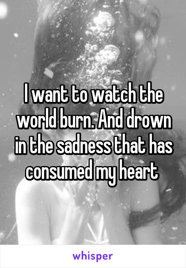 I want to watch the world burn. And drown in the sadness that has consumed my heart 