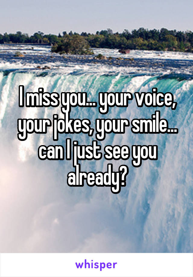 I miss you... your voice, your jokes, your smile... can I just see you already?