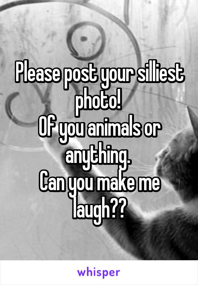 Please post your silliest photo! 
Of you animals or anything. 
Can you make me laugh??