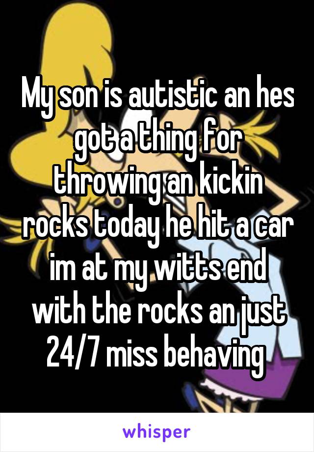 My son is autistic an hes got a thing for throwing an kickin rocks today he hit a car im at my witts end with the rocks an just 24/7 miss behaving 