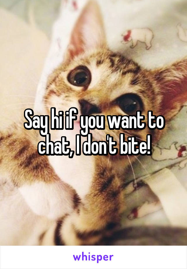 Say hi if you want to chat, I don't bite!