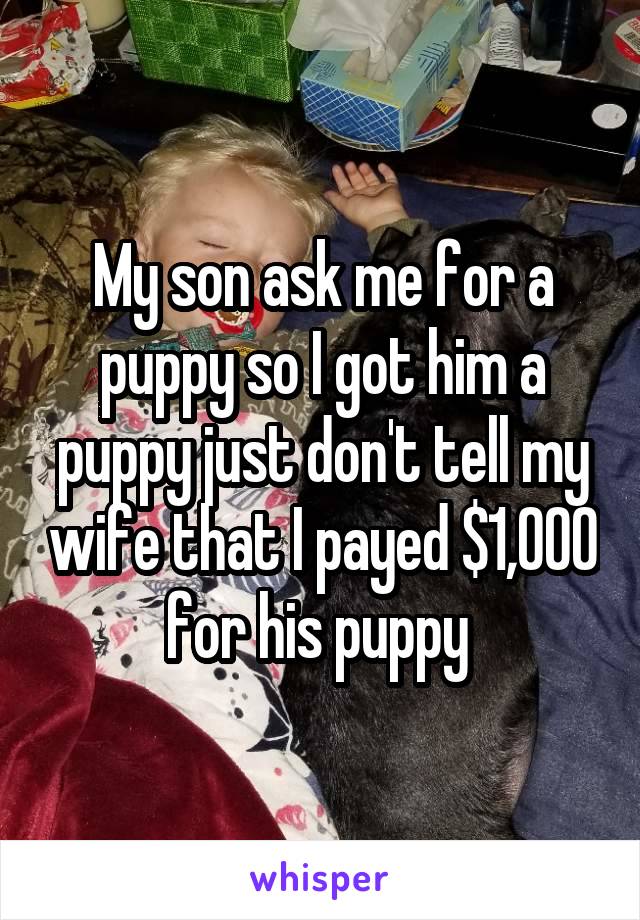 My son ask me for a puppy so I got him a puppy just don't tell my wife that I payed $1,000 for his puppy 