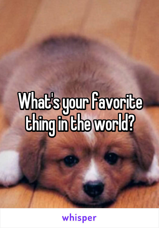 What's your favorite thing in the world?