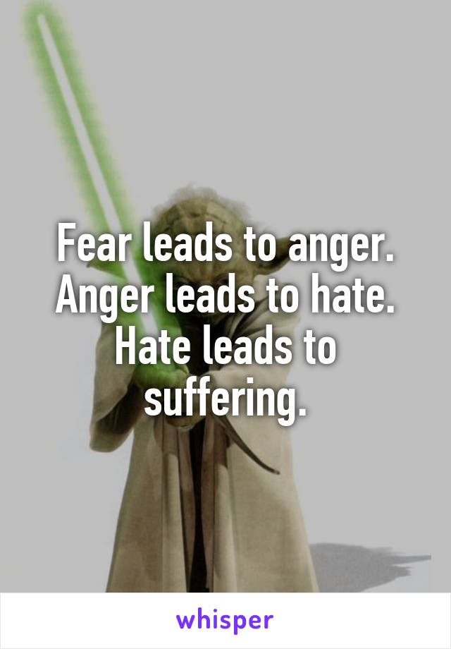 Fear leads to anger.
Anger leads to hate.
Hate leads to suffering.