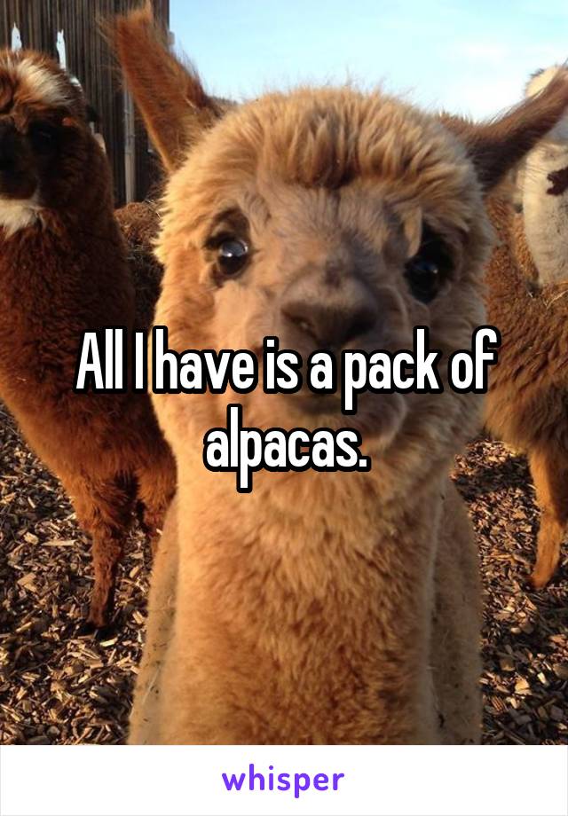 All I have is a pack of alpacas.