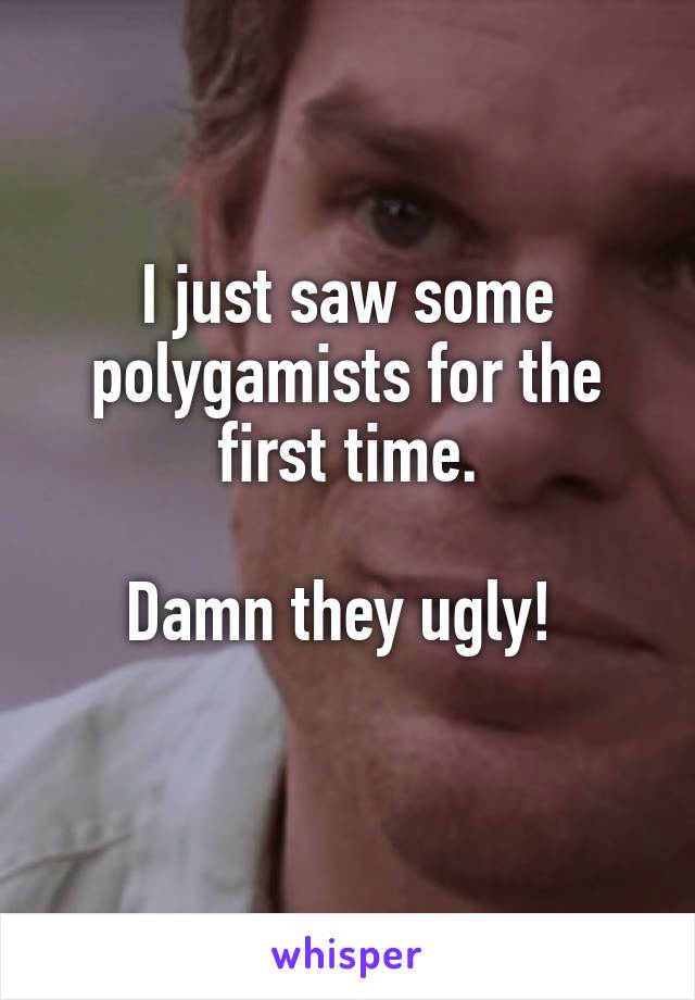 I just saw some polygamists for the first time.

Damn they ugly! 
