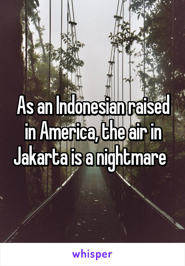 As an Indonesian raised in America, the air in Jakarta is a nightmare  