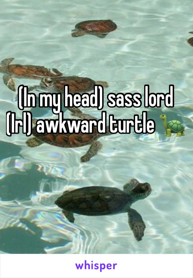 (In my head) sass lord
(Irl) awkward turtle 🐢 