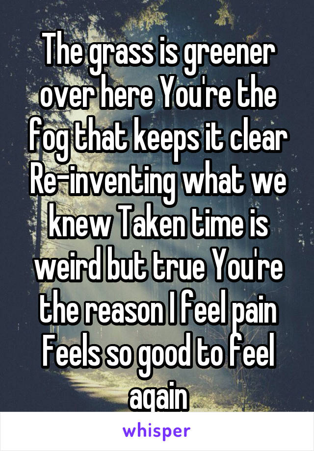 The grass is greener over here You're the fog that keeps it clear Re-inventing what we knew Taken time is weird but true You're the reason I feel pain
Feels so good to feel again