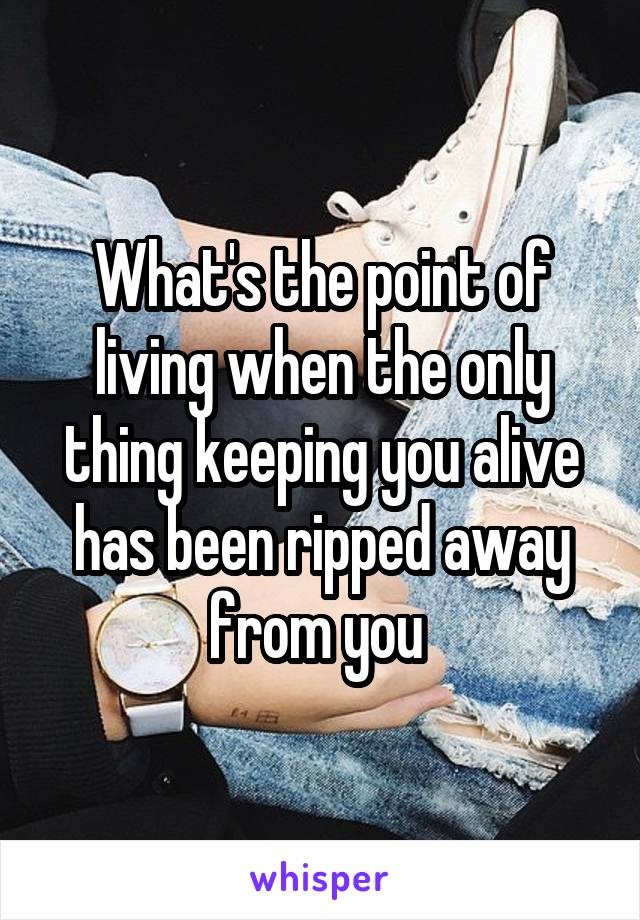 What's the point of living when the only thing keeping you alive has been ripped away from you 