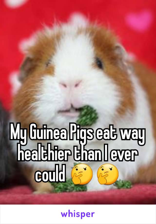 My Guinea Pigs eat way healthier than I ever could 🤔🤔