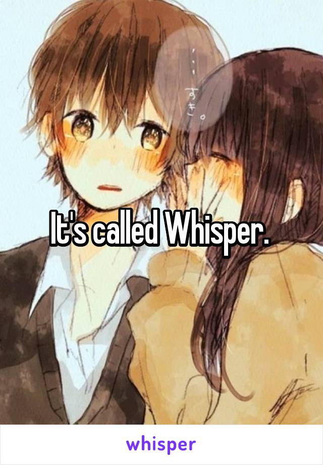 It's called Whisper. 