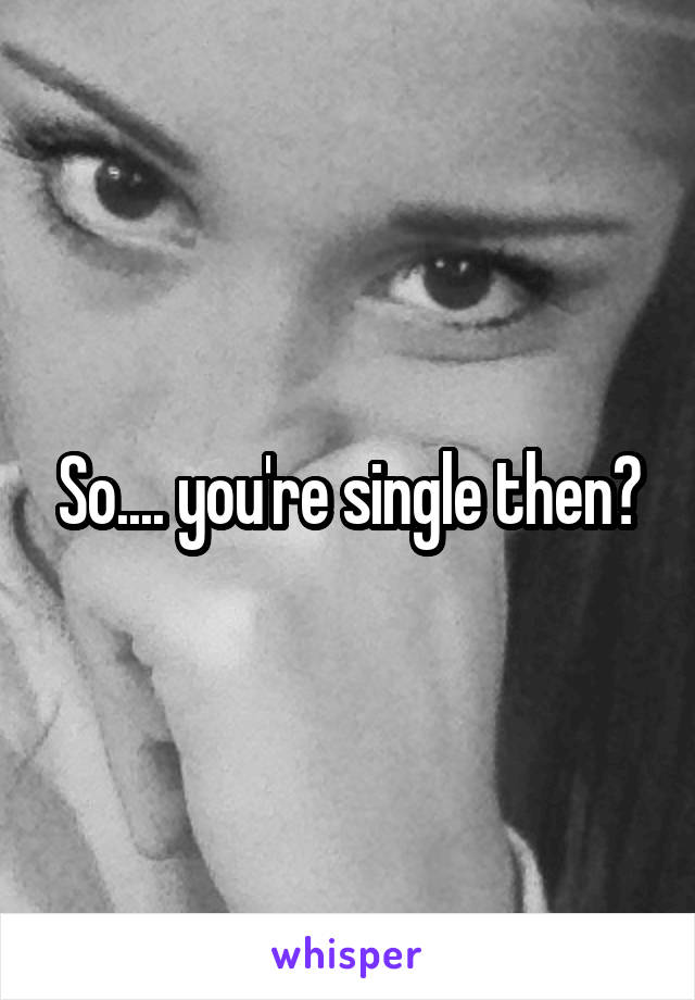 So.... you're single then?