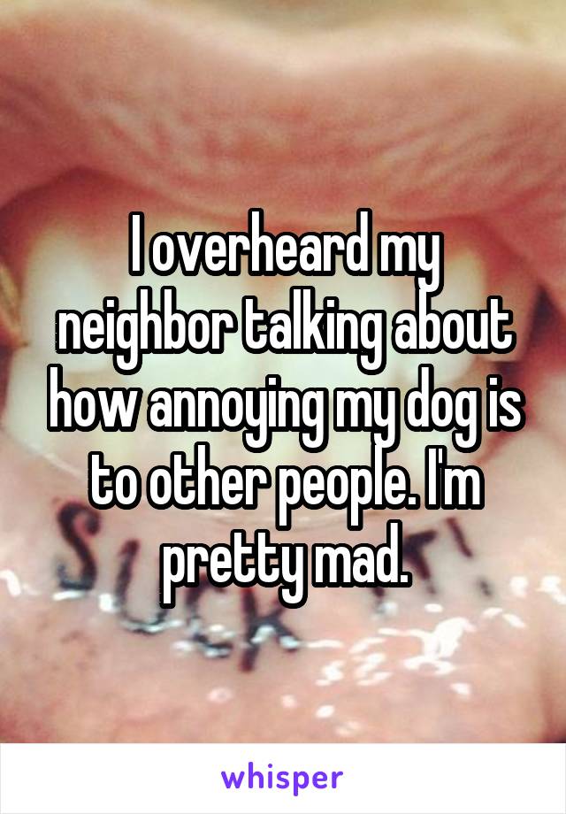 I overheard my neighbor talking about how annoying my dog is to other people. I'm pretty mad.