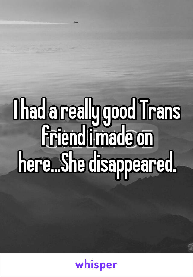 I had a really good Trans friend i made on here...She disappeared.