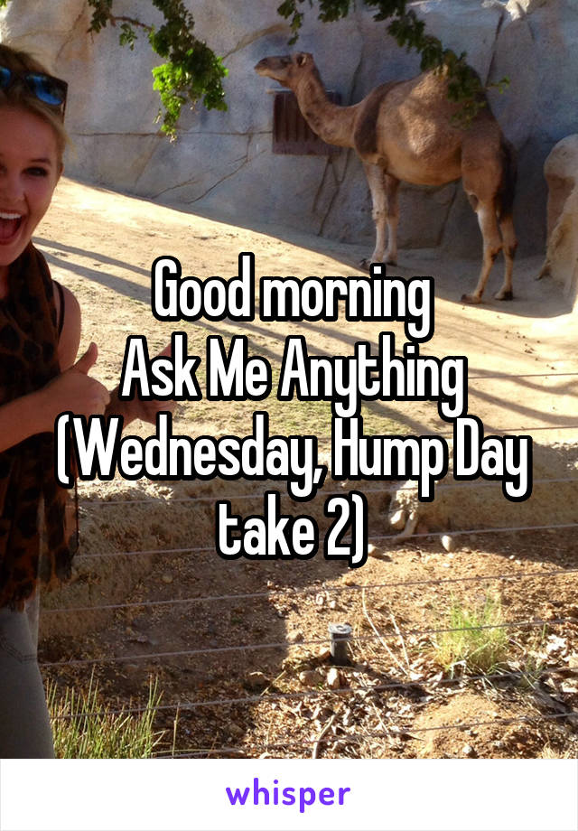 Good morning
Ask Me Anything
(Wednesday, Hump Day take 2)