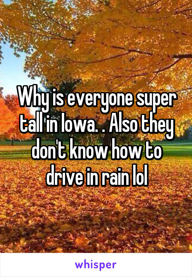 Why is everyone super tall in Iowa. . Also they don't know how to drive in rain lol