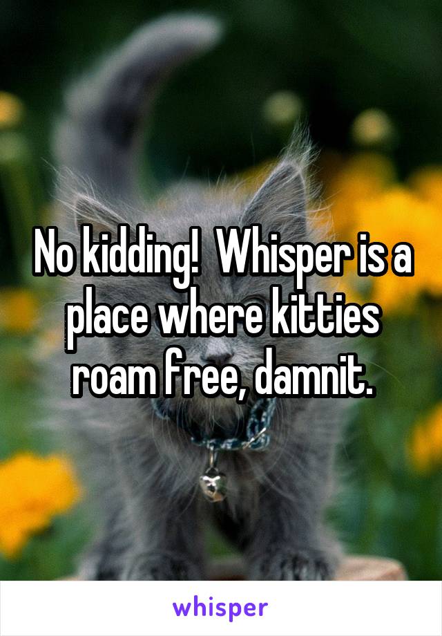 No kidding!  Whisper is a place where kitties roam free, damnit.