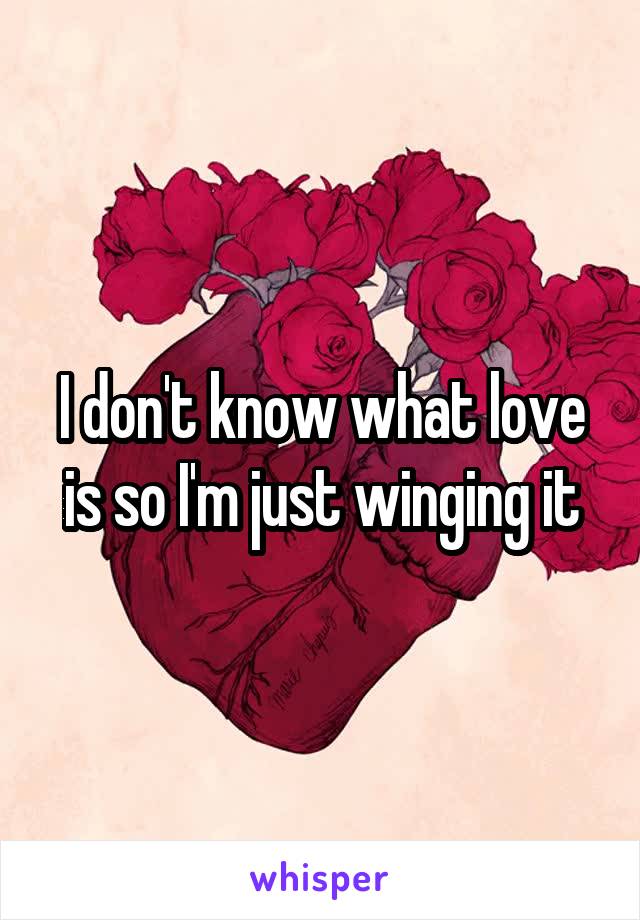 I don't know what love is so I'm just winging it