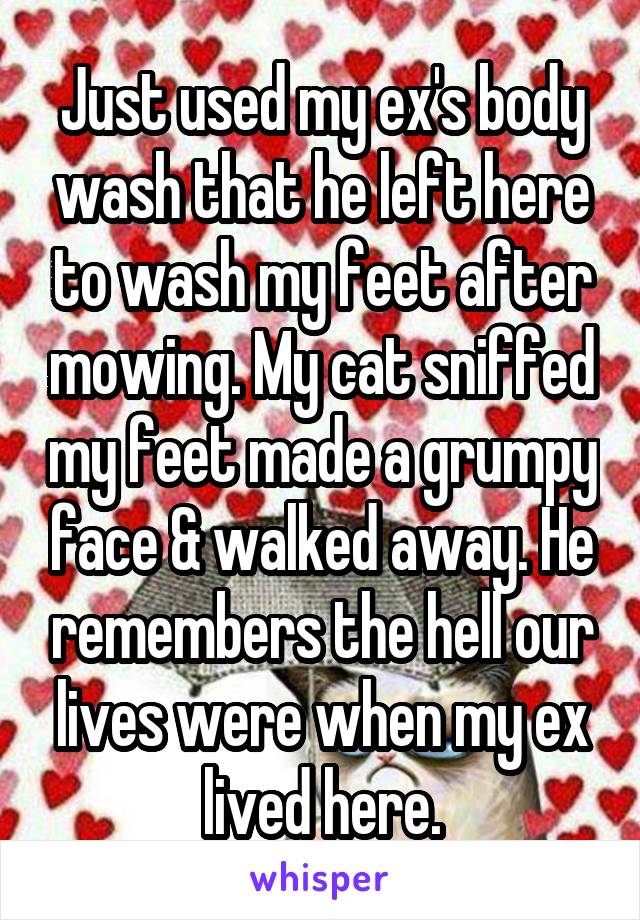 Just used my ex's body wash that he left here to wash my feet after mowing. My cat sniffed my feet made a grumpy face & walked away. He remembers the hell our lives were when my ex lived here.