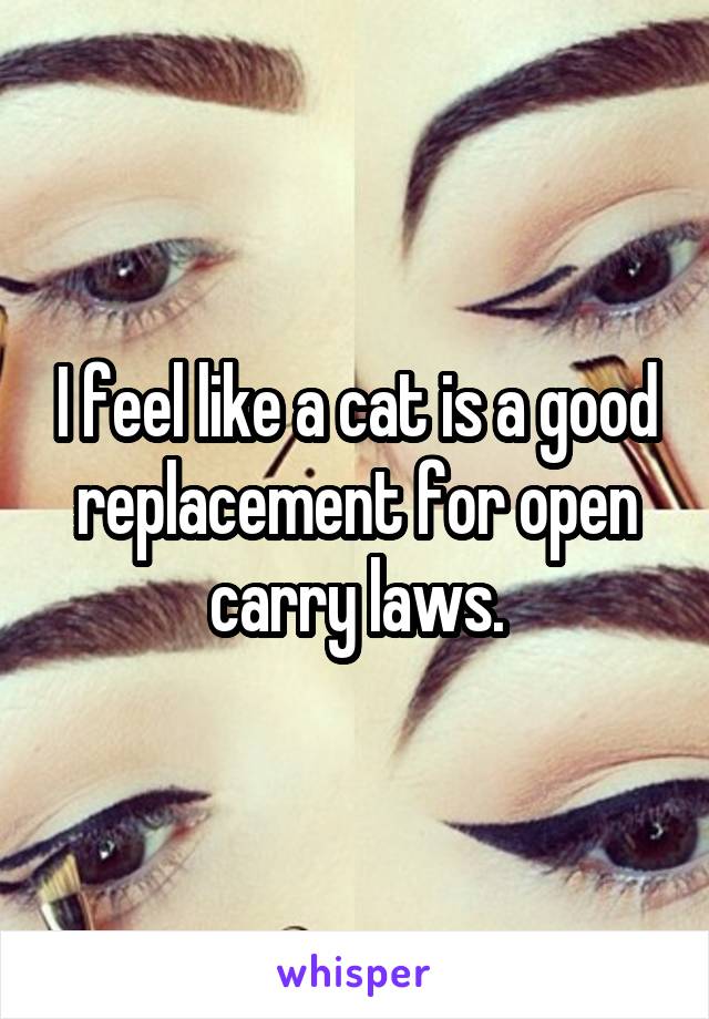 I feel like a cat is a good replacement for open carry laws.