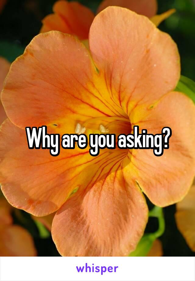 Why are you asking?