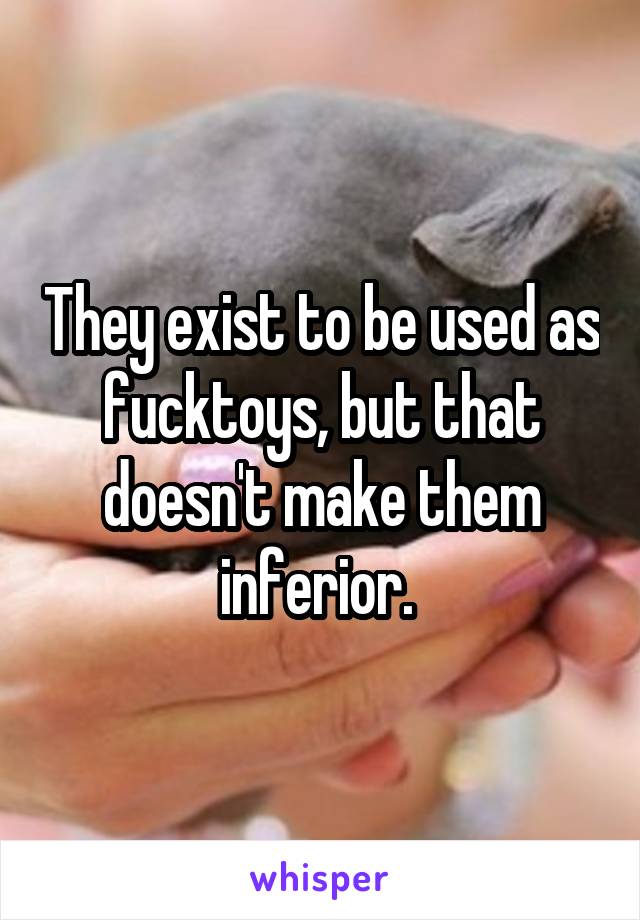 They exist to be used as fucktoys, but that doesn't make them inferior. 