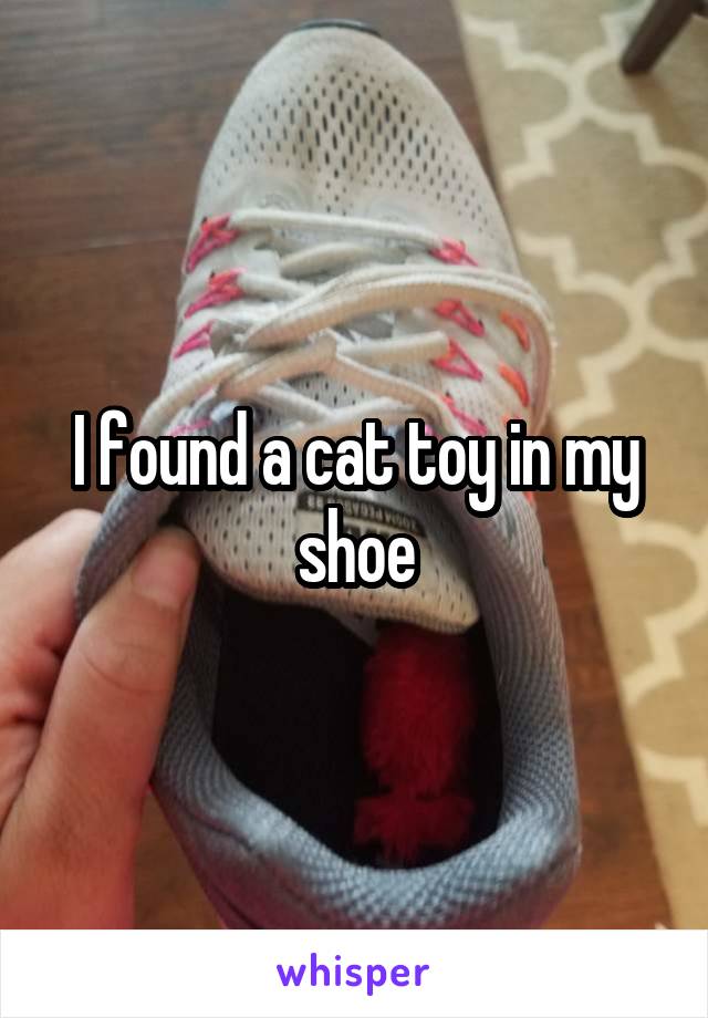 I found a cat toy in my shoe