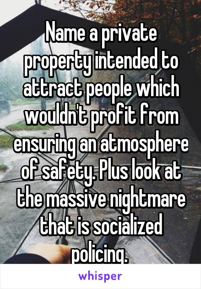 Name a private property intended to attract people which wouldn't profit from ensuring an atmosphere of safety. Plus look at the massive nightmare that is socialized policing. 