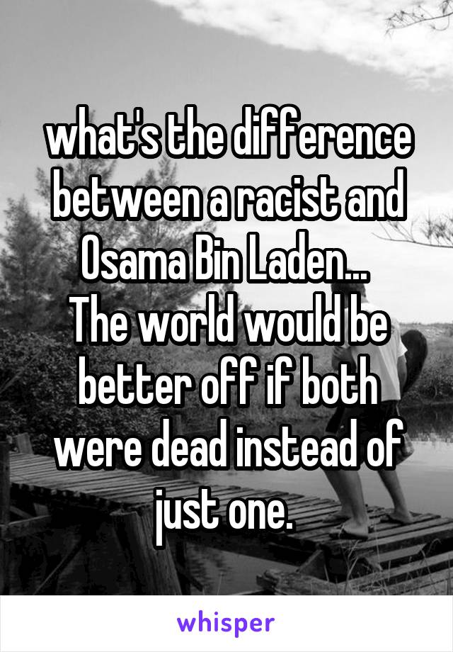 what's the difference between a racist and Osama Bin Laden... 
The world would be better off if both were dead instead of just one. 