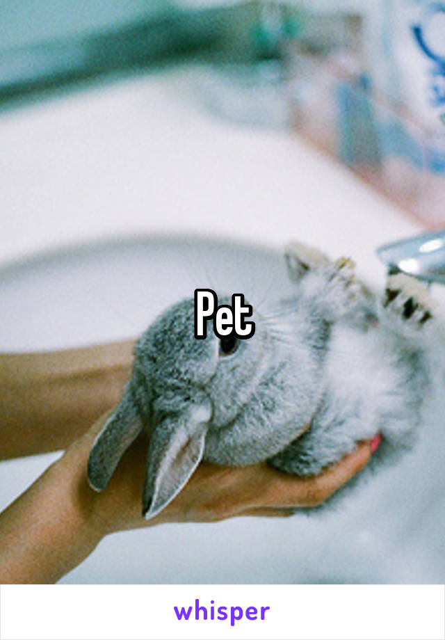 Pet