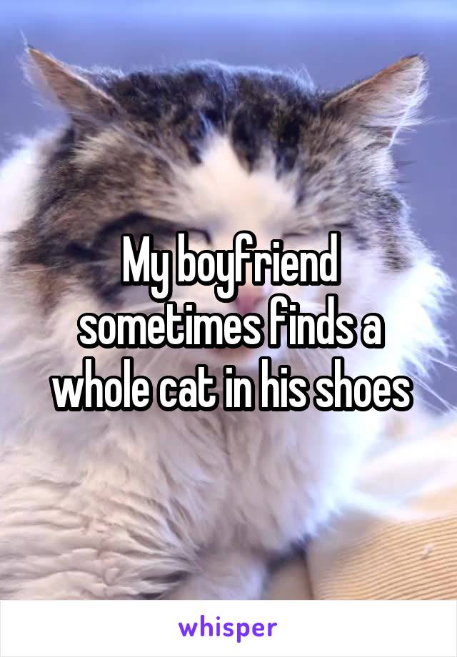 My boyfriend sometimes finds a whole cat in his shoes