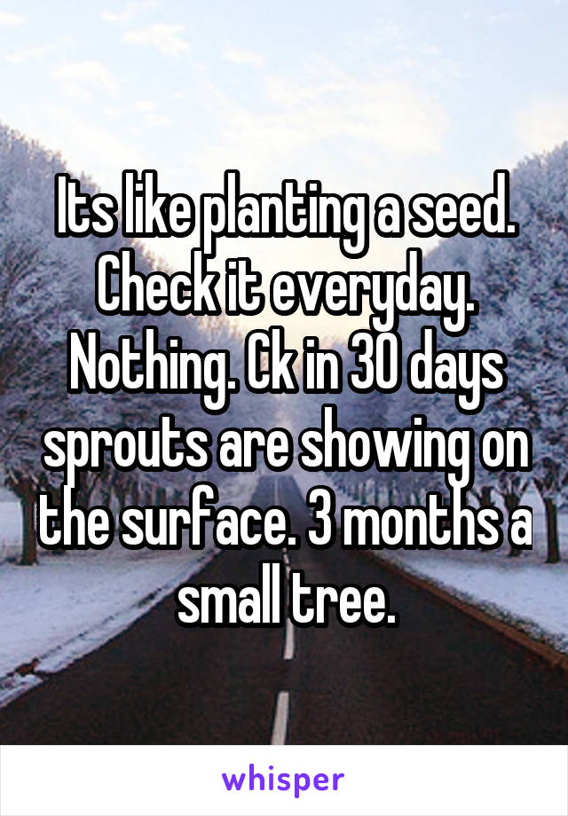 Its like planting a seed. Check it everyday. Nothing. Ck in 30 days sprouts are showing on the surface. 3 months a small tree.