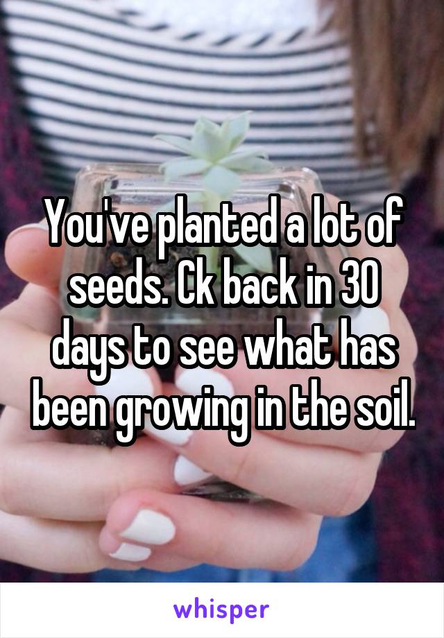 You've planted a lot of seeds. Ck back in 30 days to see what has been growing in the soil.