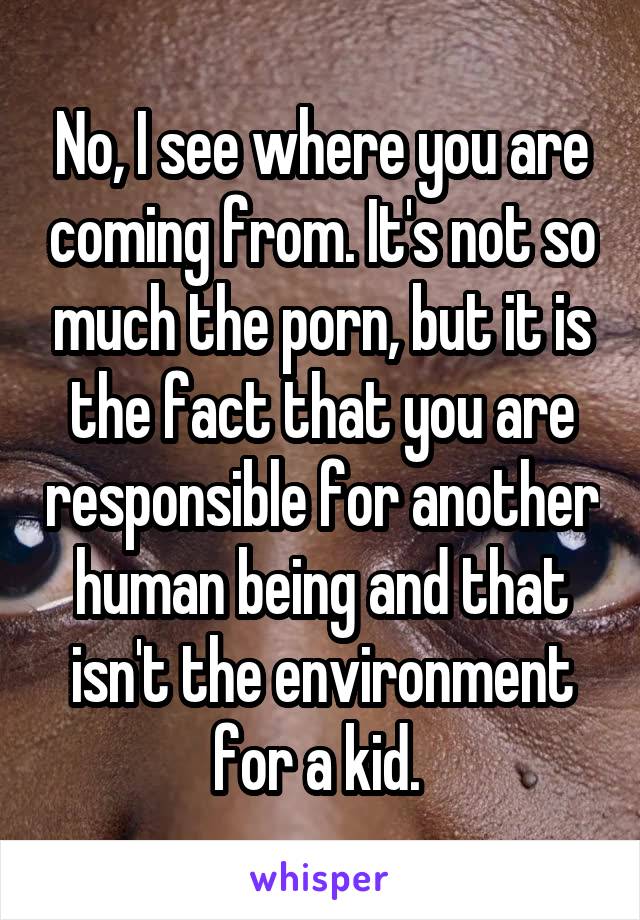 No, I see where you are coming from. It's not so much the porn, but it is the fact that you are responsible for another human being and that isn't the environment for a kid. 