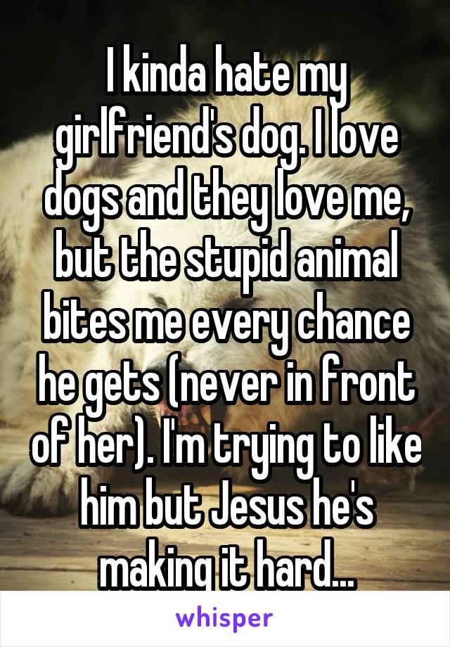 I kinda hate my girlfriend's dog. I love dogs and they love me, but the stupid animal bites me every chance he gets (never in front of her). I'm trying to like him but Jesus he's making it hard...