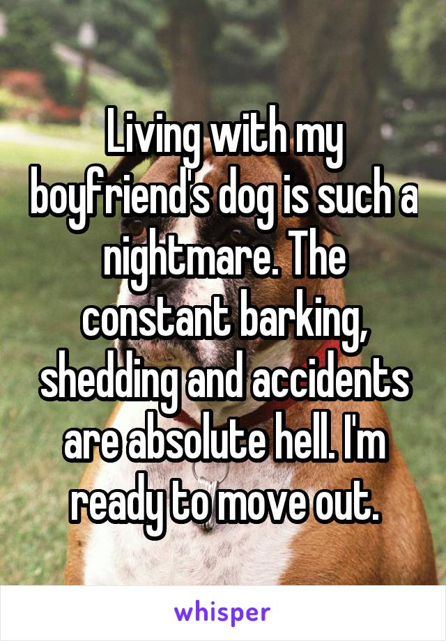 Living with my boyfriend's dog is such a nightmare. The constant barking, shedding and accidents are absolute hell. I'm ready to move out.