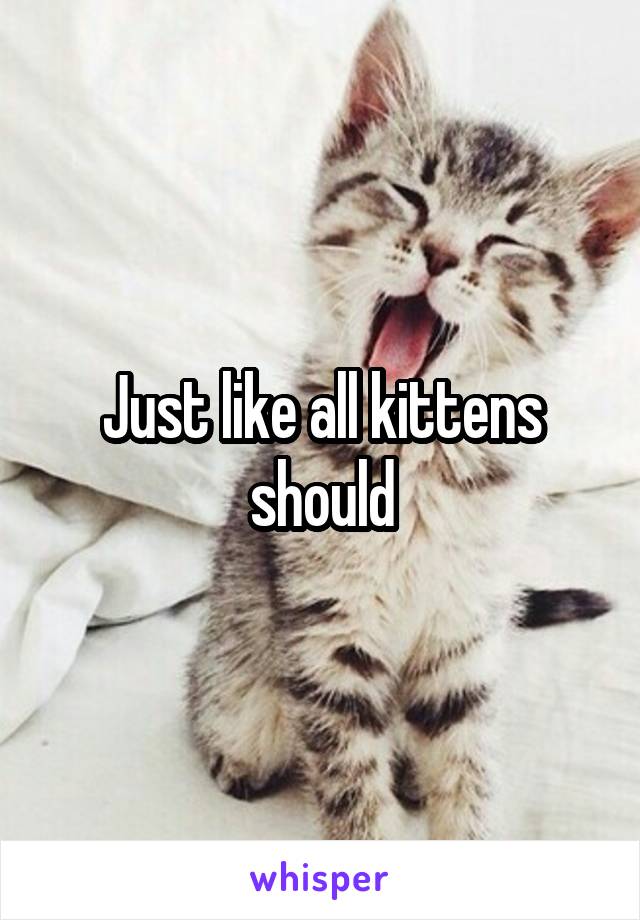 Just like all kittens should