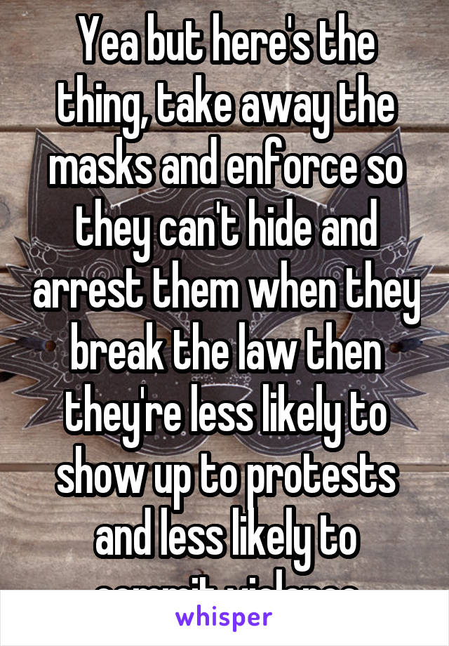 Yea but here's the thing, take away the masks and enforce so they can't hide and arrest them when they break the law then they're less likely to show up to protests and less likely to commit violence