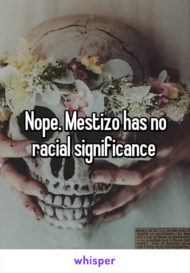 Nope. Mestizo has no racial significance 