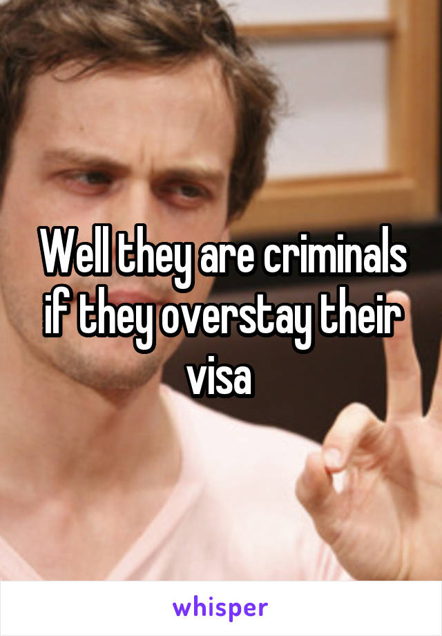 Well they are criminals if they overstay their visa 